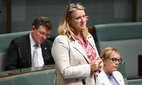 Kylea Tink in parliament