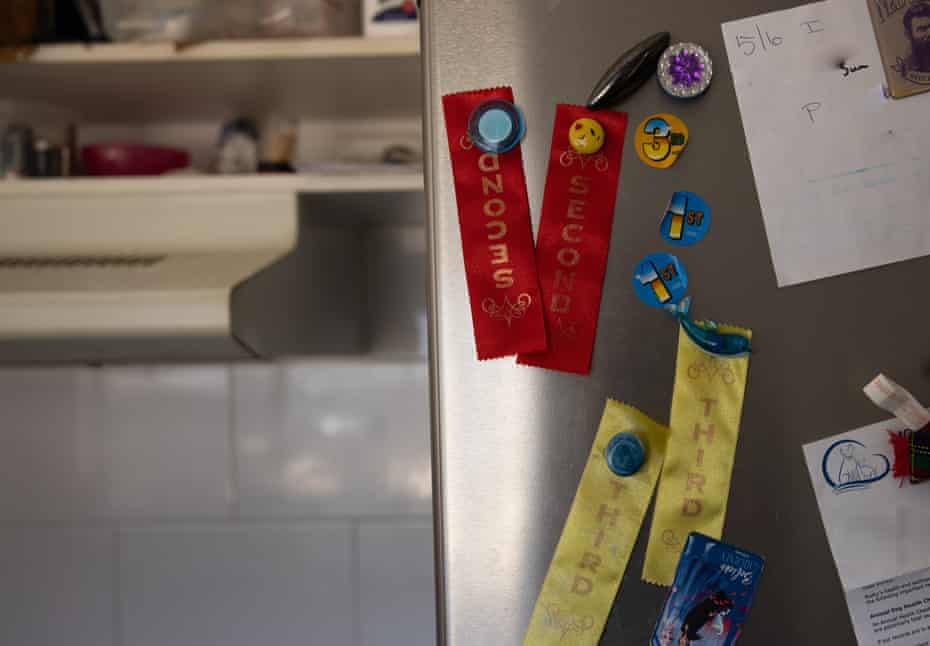 School ribbons won by Penfold's grandchildren