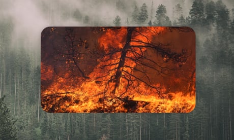 Composite of wild fires over an unburned forest