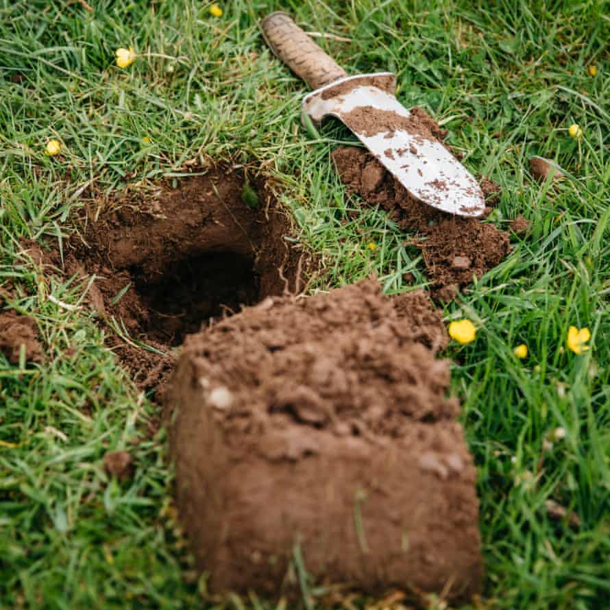 Neatly dug holes that can be easily refilled so as not to cause any inconvenience to the farmer