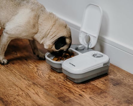 Cat Mate C200 Automatic Pet Feeder