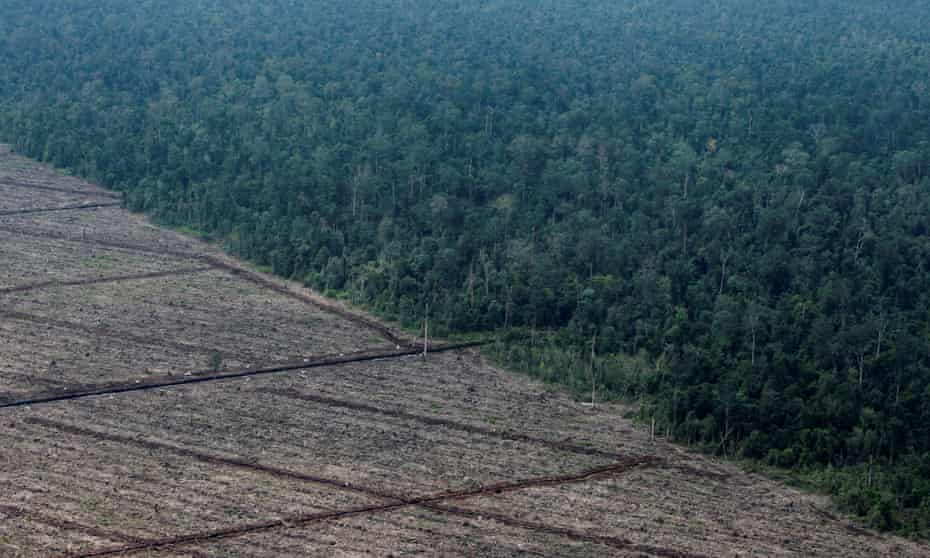 Deforestation on Indonesia's Sumatra island