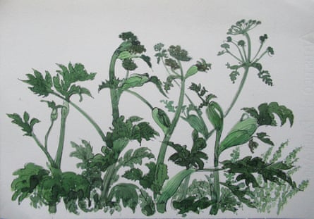 A foliage watercolour, 2010.