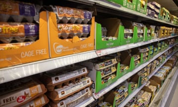Stock image of shelves of eggs