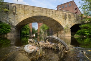 A white-throated dipper nests under an old road bridge in Greater Manchester.