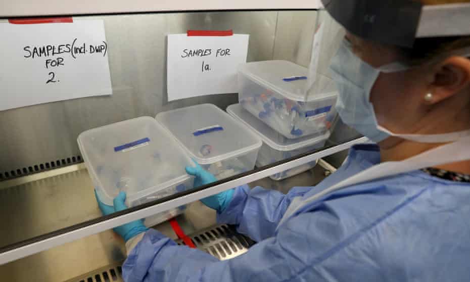 Live samples held in a container at a recently opened Covid-19 testing lab in Glasgow
