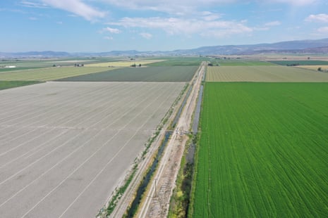 An aerial image shows a struggling onion crop next to a healthy mint field at Seus Family Farms in Tulelake, California.