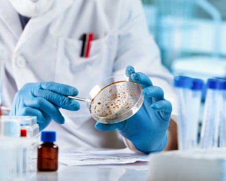 A scientist with a petri dish