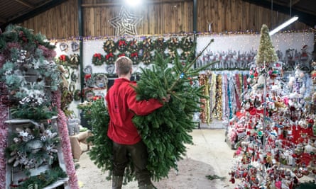 Christmas comes early as UK farms sell out of trees | Christmas | The Guardian