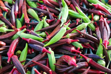 colorful okra