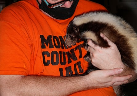 An inmate holds a skunk at the on-site zoo of the Monroe County detention center in July 2021