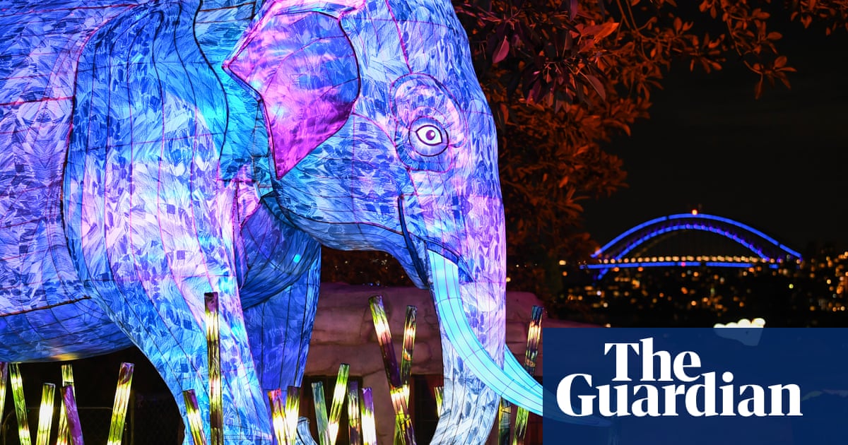 Art installation lights up Sydney's zoo in pictures