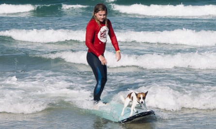 Surfer, and dog, both on a surfboard at Byron Bay, Australia.