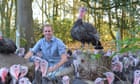 Avian flu set to deal killer blow to turkey farmers at Christmas