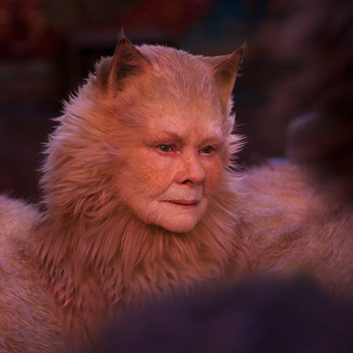Claws Out For The Cats Trailer But Universal Will Be Purring Cats The Guardian