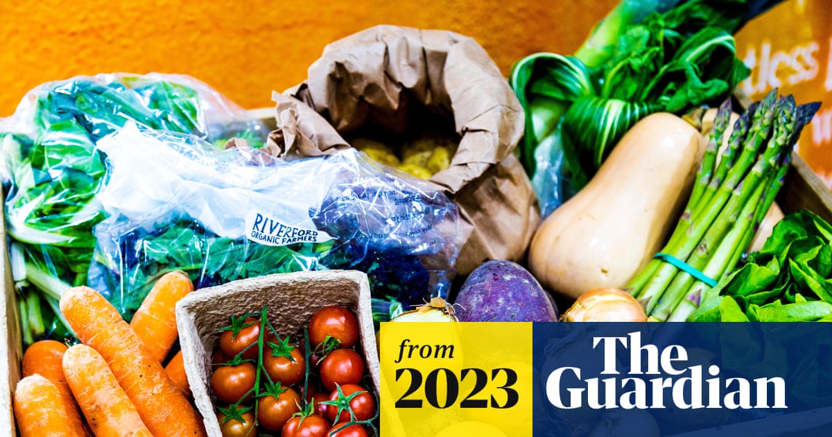 Vegan diet massively cuts environmental damage, study shows
