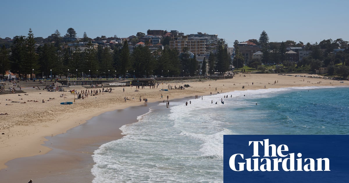 ‘Almost looks fake’: two Sydney beaches closed after whale carcass washes up