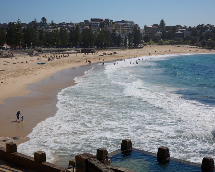 Image accompanying the story: ‘Almost looks fake’: two Sydney beaches closed after whale carcass washes up