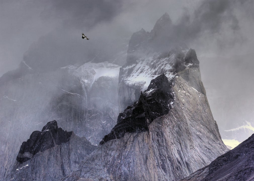 ภาพ Andean condor in flight over mountain peaks โดยช่างภาพ Ben Hall