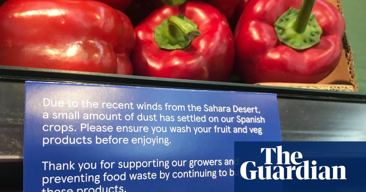 Don’t let dust cloud your judgment: Tesco urges shoppers to buy sandy veg