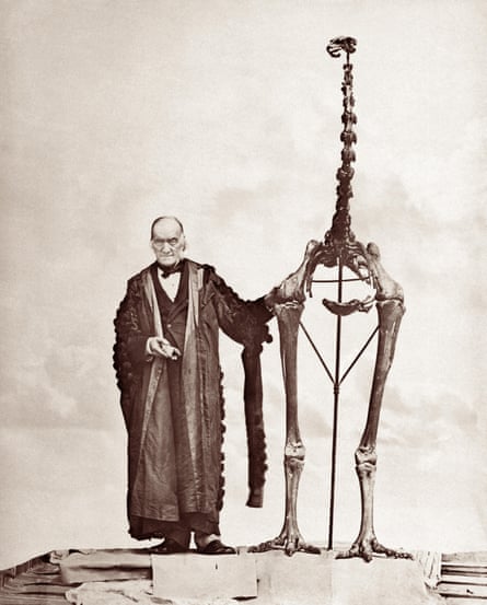 Sepia photograph of an old man in an academic gown standing next to a skeleton of a moa, which towers over him