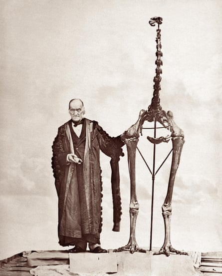 English biologist Sir Richard Owen with a giant moa skeleton