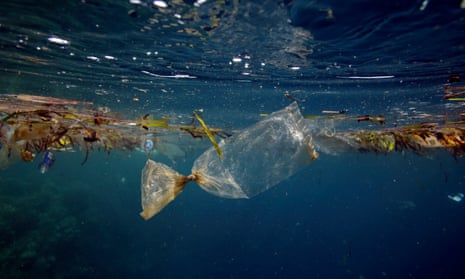 Plastic bag floating underwater at Pulau Bunaken, Indonesia.