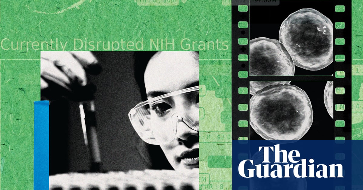 ‘We’re no longer attracting top talent’: the brain drain killing American science