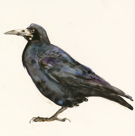 Painting of a rook