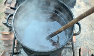 Ayahuasca being prepared near Pucallpa in Peru’s Amazon.