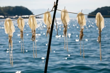 Squids drying on a line above the sea