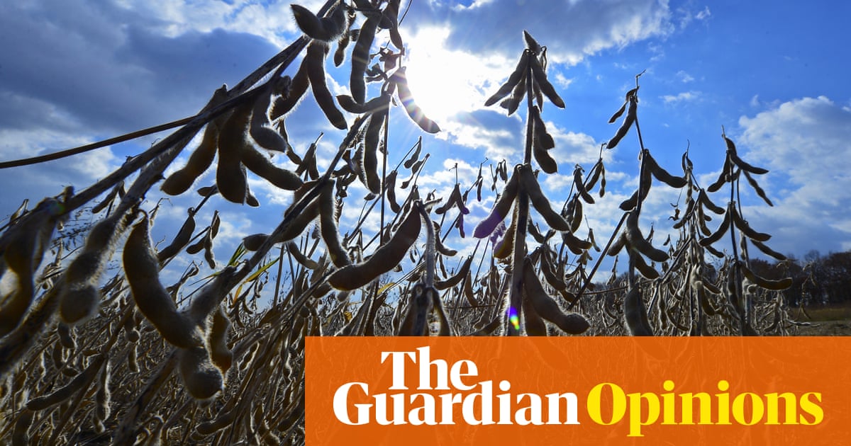 The best way to save the planet? Drop meat and dairy | George Monbiot 2