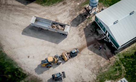 Overhead shot of two tractors facing each other in front of a barn. Nearby is a semi-trailer holding pig carcasses.