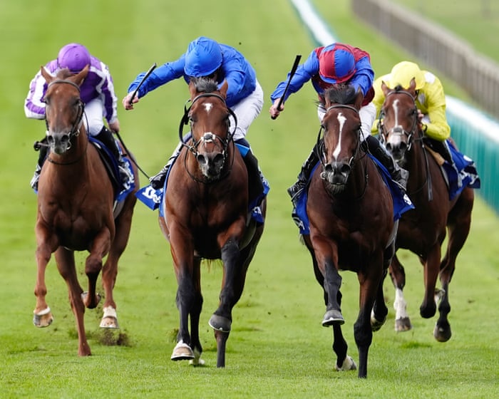 Future Champions Festival: news, tips and more – horse racing live