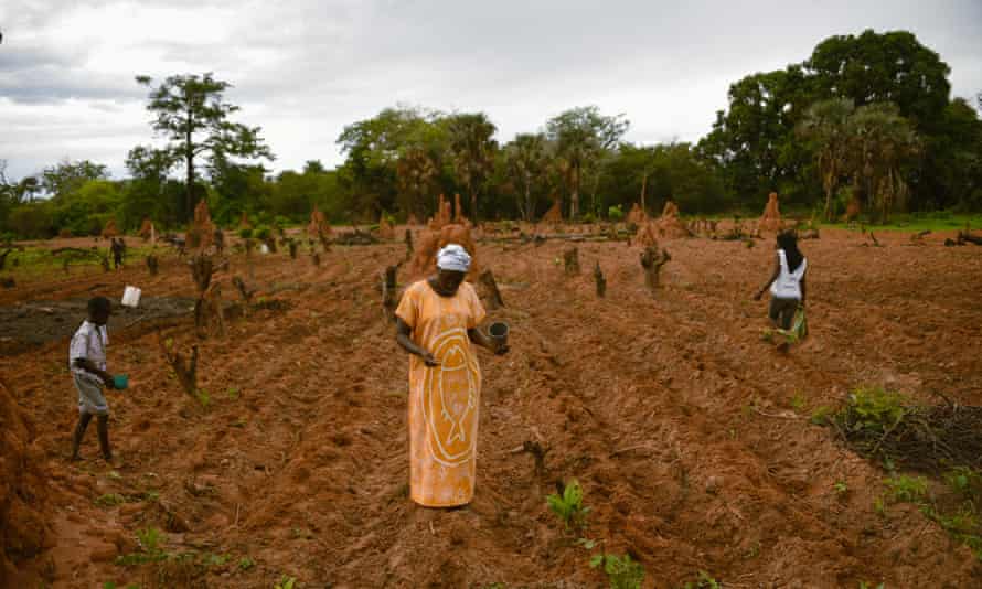 Refugees work the land in Guinea-Bissau