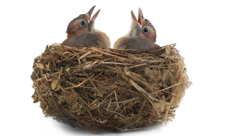 It May be Time to Say Goodbye to your Nest Protect