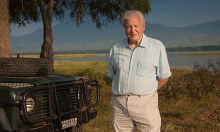 Sir David Attenborough on location