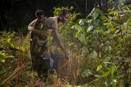A woman with a child on her back reaches out to some grasses in a leafy environment