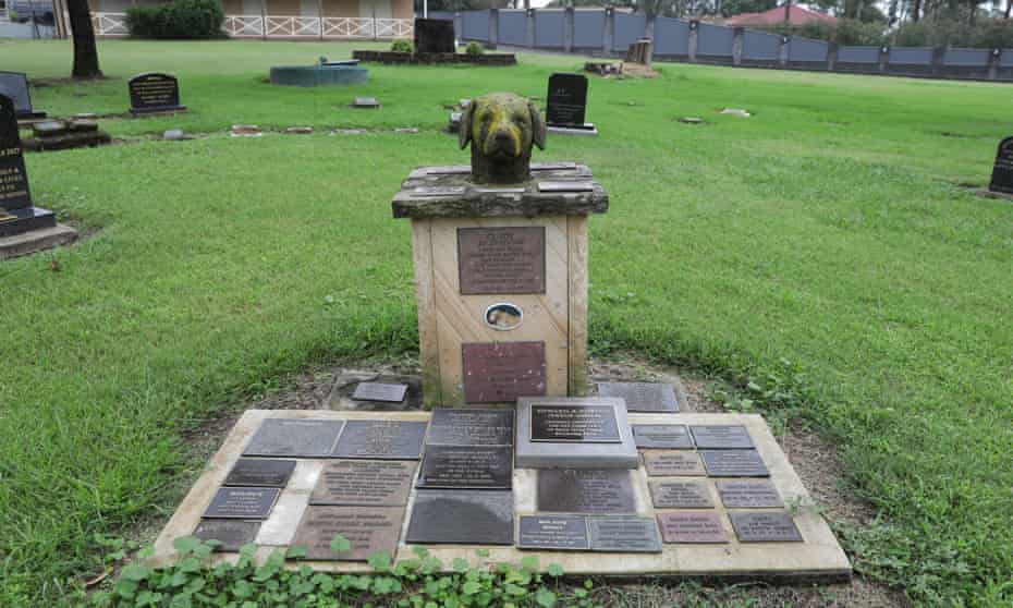 A headstone at the Animal Memorial Cemetery and Crematorium located in Berkshire Park NSW, Australia – one of three pet cemeteries in Sydney. Pet Cemetery.
