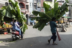 Hyderabad, India. Hindu devotees carry banana leaves to decorate their homes during Diwali celebrations at a market