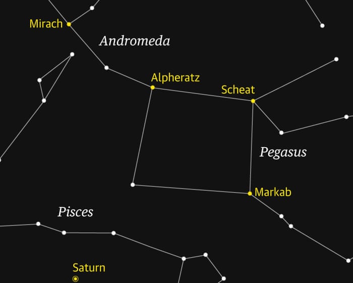 Starwatch: Bright stars of Pegasus make this distinctive constellation easy to see