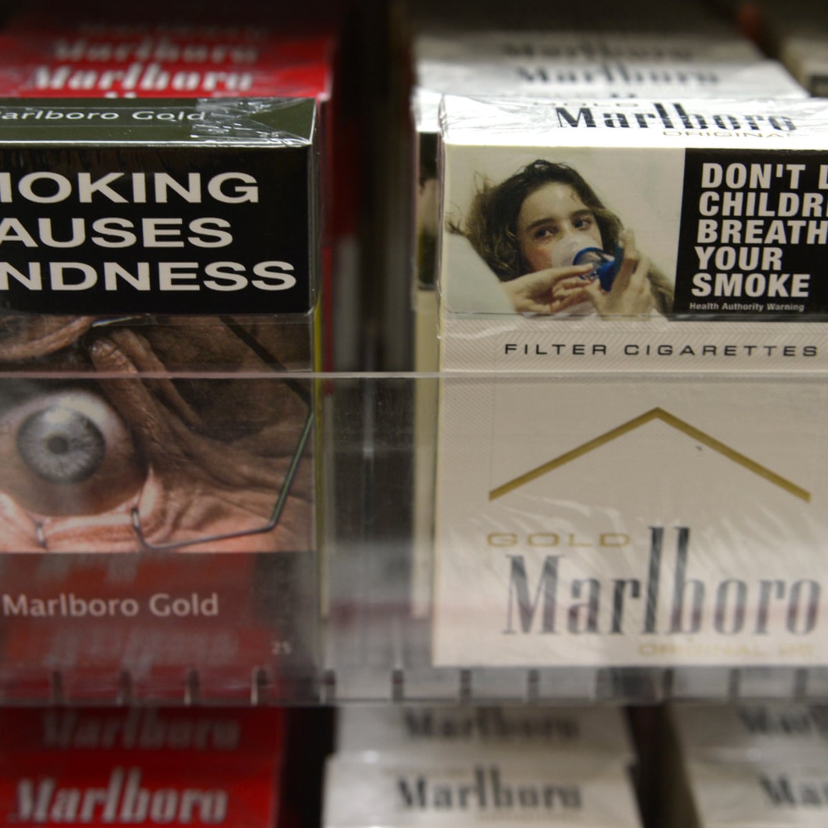 cigarette factory cost What is the Cost of Starting a Cigarette Manufacturing Plant: Step cigarette factory cost What is the Cost of Starting a Cigarette Manufacturing Plant: Step