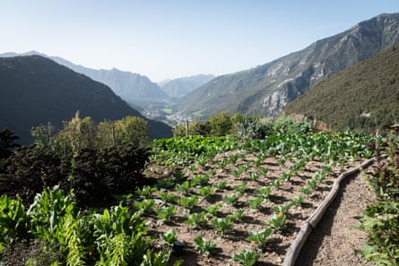 A vegetable plot on a terrace on a hillside with view of a valley between hills