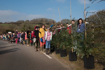 Planting of cloned Redwood trees - Eden Project. Lanlivery CP School.