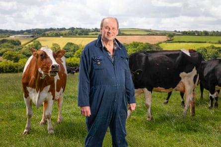 Ian Harvey, who is wearing blue overalls, stands among his cows in a field