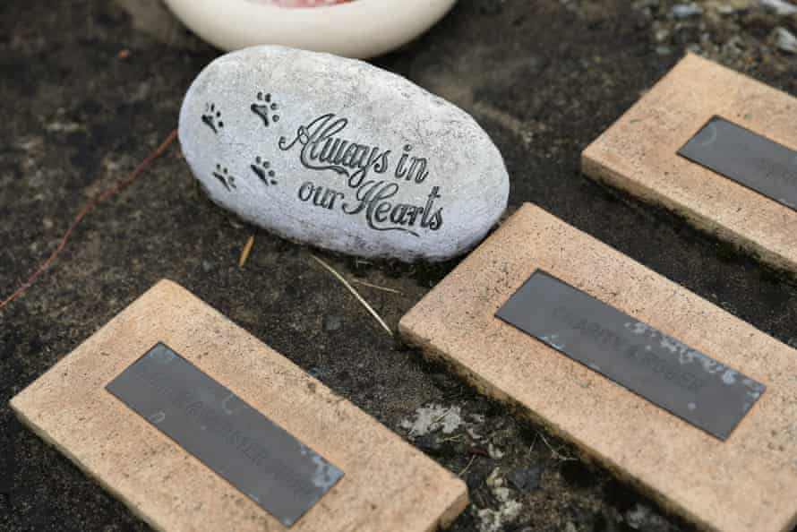 gravestones for pets lie on the ground