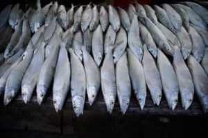 The daily catch displayed for sale on Tarawa.