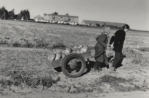Vienkiemio godos / Farmstead Dreams, 1990s Two generations of women work the fields together, pulling a home-made cart loaded with turnips. Amazingly, this photograph is from the 1990s, not 1940s or 1890s. In the last quarter-century, Lithuania has been transformed from part of the Soviet Union to part of the European Union. Older Lithuanians learnt Russian at school as their second language. Now English is their second language.