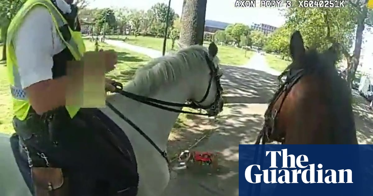 Bystanders apprehend bulldog after it attempts to assault Met police horses