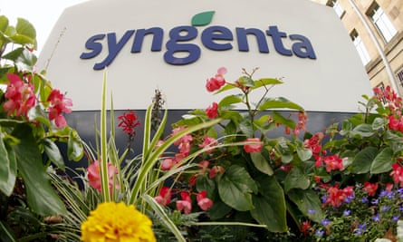 Flores crescendo em frente ao logotipo da fabricante suíça de agroquímicos Syngenta na sede da empresa em Basel.
